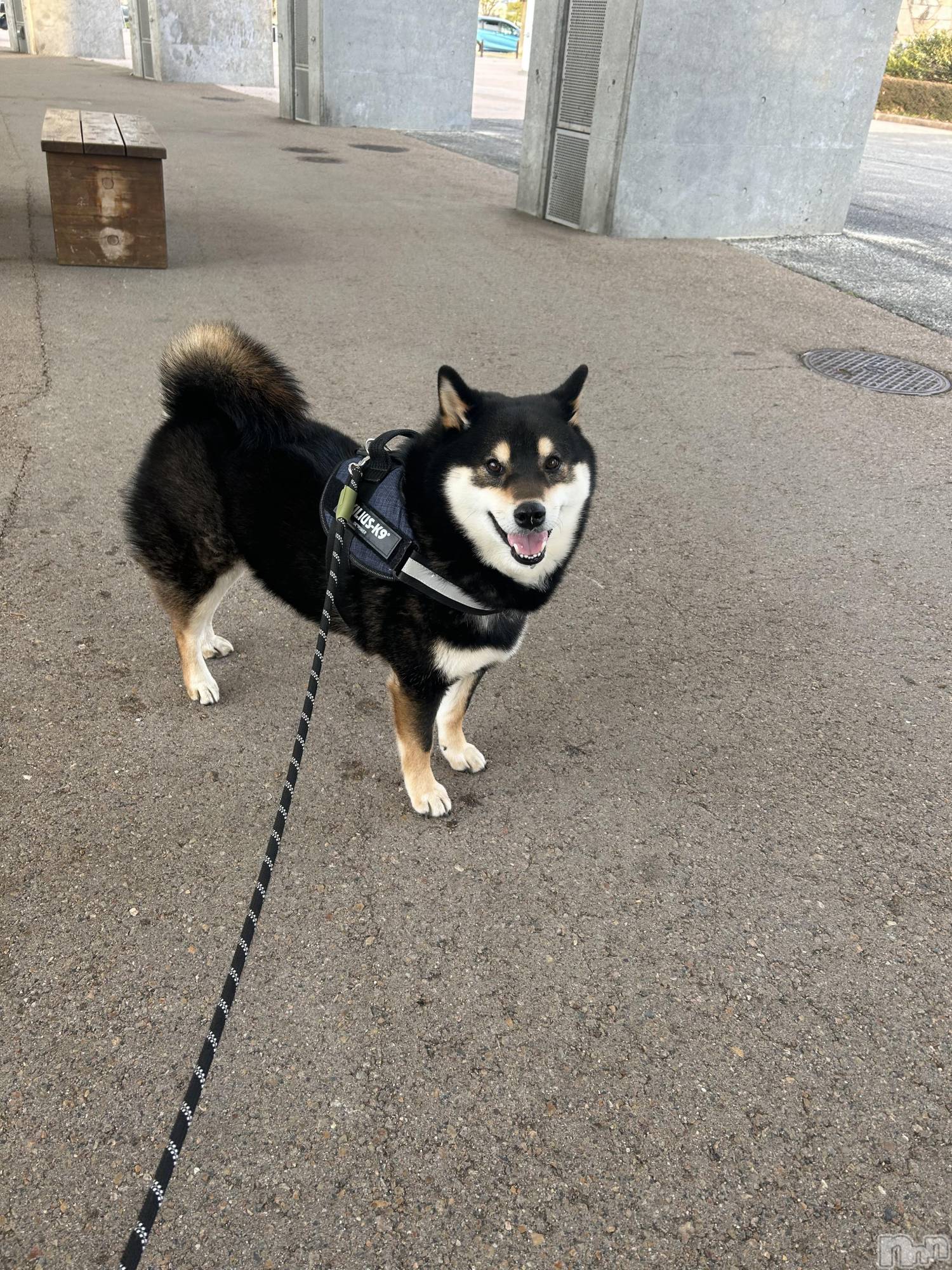 ����������ʥå��������륺�С����饪���ϥ��ܡ���bar���ͻ���(���饪���ϥ��ܡ���С��ӥ��󥷥ޥ�) ��2026ǯ3��15���̥�֥�����3��15�� 16��32ʬ�Υ֥�����