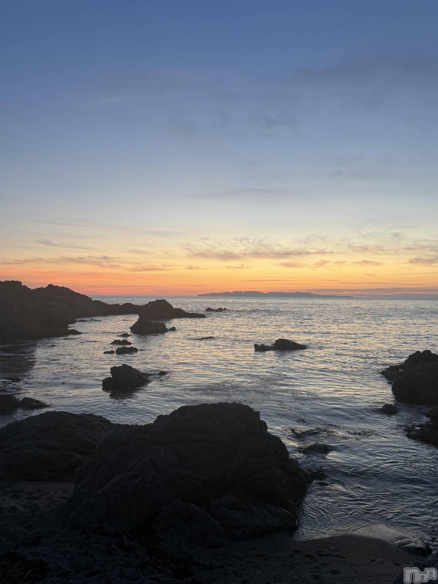 ����������ʥå��������륺�С����饪���ϥ��ܡ���bar���ͻ���(���饪���ϥ��ܡ���С��ӥ��󥷥ޥ�) ��2026ǯ3��21���̥�֥�����3��21�� 17��47ʬ�Υ֥�����