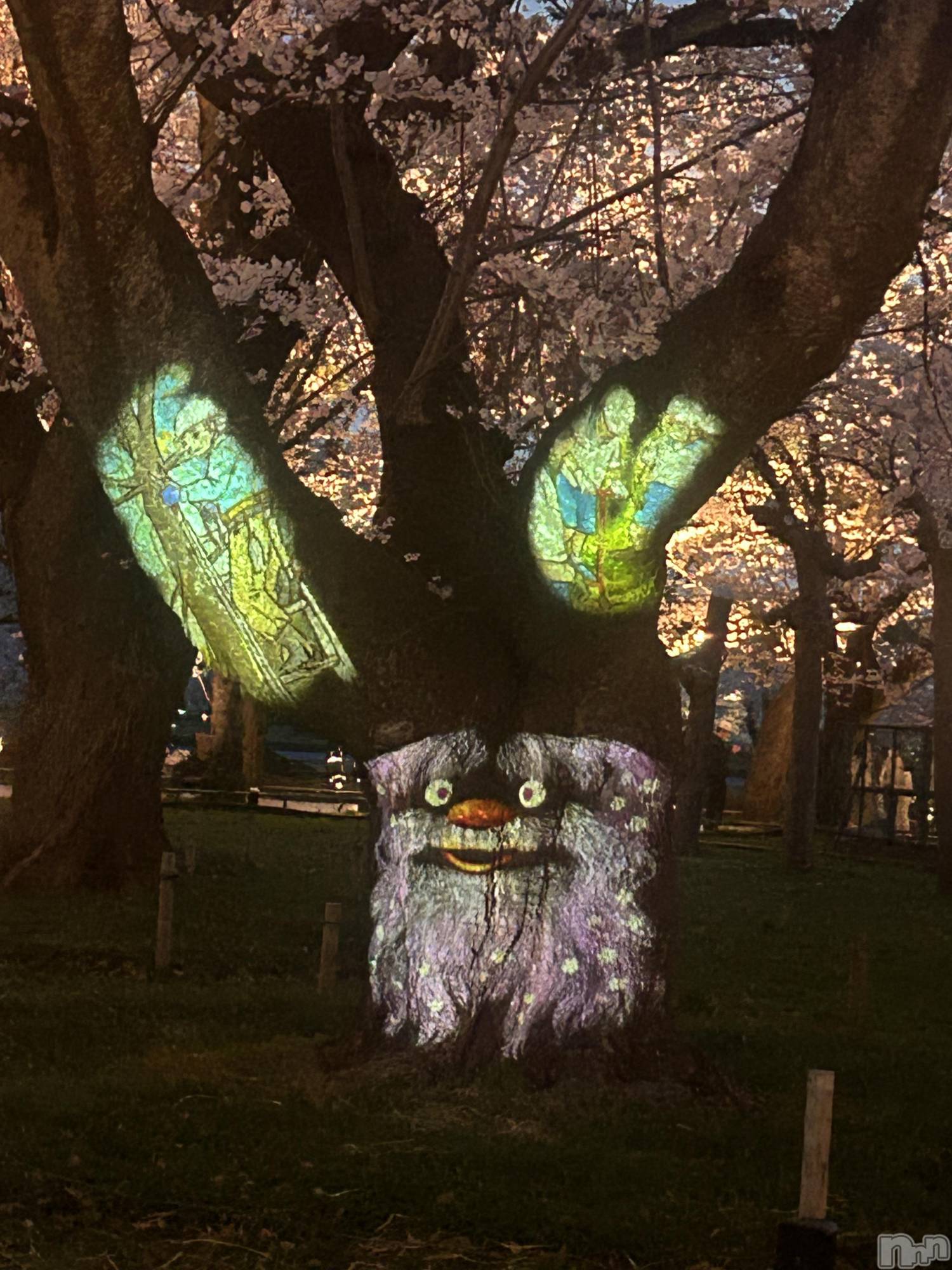 ����������ʥå��������륺�С����饪���ϥ��ܡ���bar���ͻ���(���饪���ϥ��ܡ���С��ӥ��󥷥ޥ�) ��2026ǯ4��14���̥�֥�����4��14�� 18��01ʬ�Υ֥�����