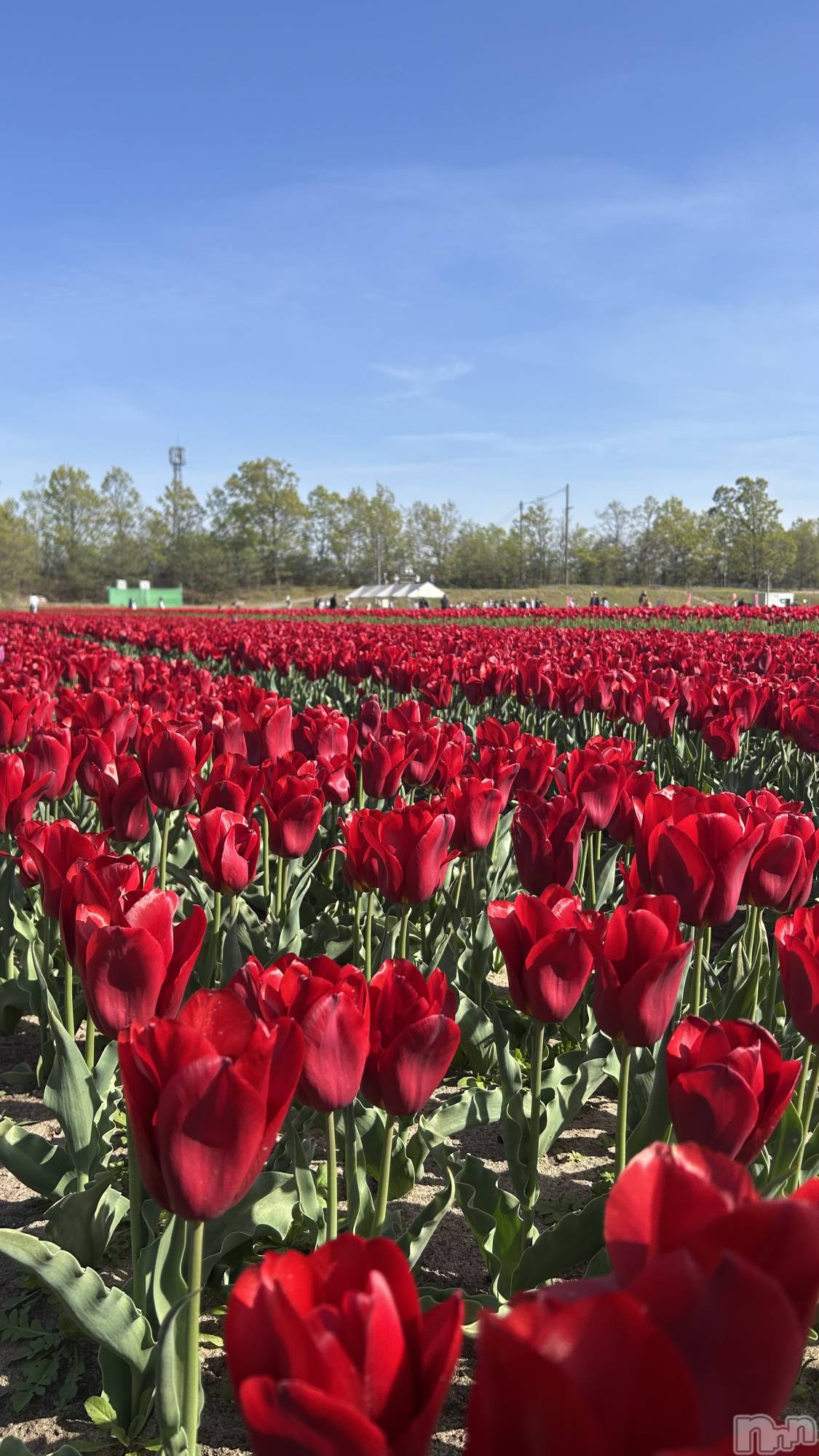 ����������ʥå��������륺�С����饪���ϥ��ܡ���bar���ͻ���(���饪���ϥ��ܡ���С��ӥ��󥷥ޥ�) ��2026ǯ4��28���̥�֥�����4��28�� 18��12ʬ�Υ֥�����