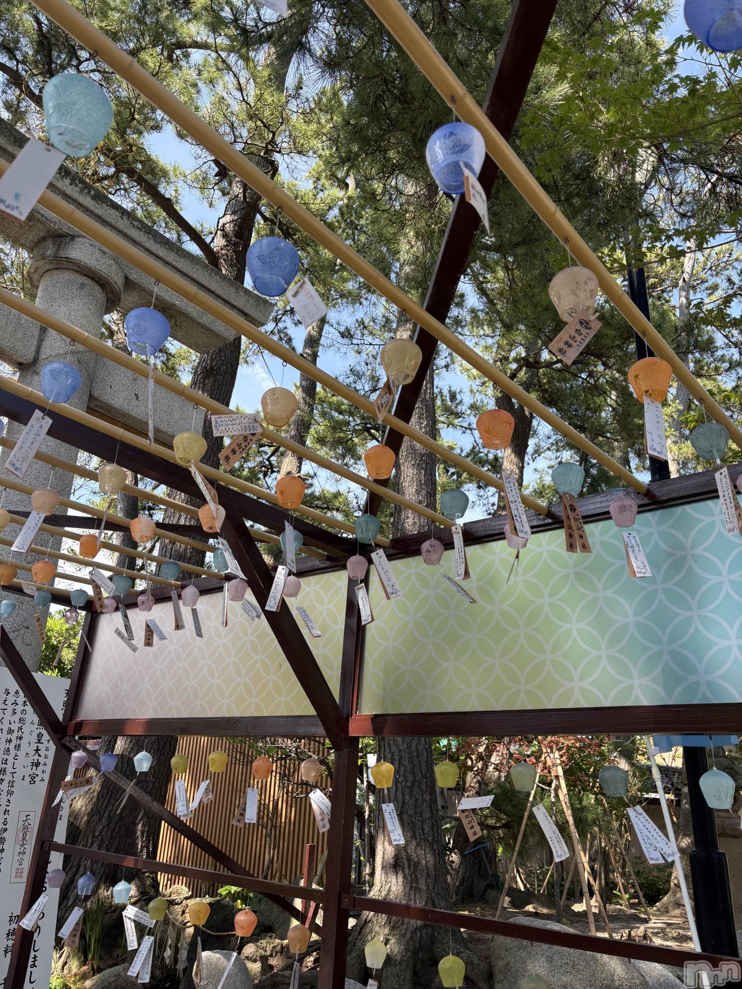 ����������ʥå��������륺�С����饪���ϥ��ܡ���bar���ͻ���(���饪���ϥ��ܡ���С��ӥ��󥷥ޥ�) ��2026ǯ6��29���̥�֥�����6��29�� 17��47ʬ�Υ֥�����