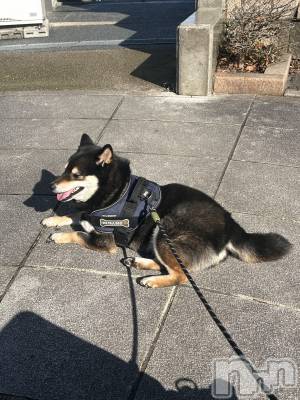 ����������ʥå��������륺�С����饪���ϥ��ܡ���bar���ͻ���(���饪���ϥ��ܡ���С��ӥ��󥷥ޥ�) ��������2��26���̥�֥�����2��26�� 19��58ʬ�Υ֥�����