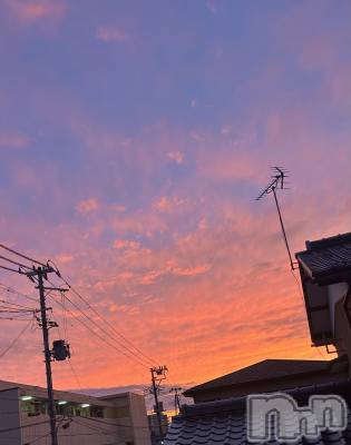 ����������ʥå��������륺�С����饪���ϥ��ܡ���bar���ͻ���(���饪���ϥ��ܡ���С��ӥ��󥷥ޥ�) ��������3��1���̥�֥�����ͼ�Ƥ�🌆��