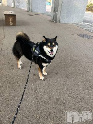 ����������ʥå��������륺�С����饪���ϥ��ܡ���bar���ͻ���(���饪���ϥ��ܡ���С��ӥ��󥷥ޥ�) ��������3��15���̥�֥�����3��15�� 16��32ʬ�Υ֥�����