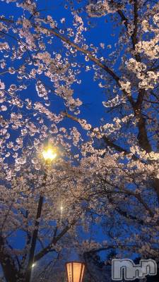 ����������ʥå��������륺�С����饪���ϥ��ܡ���bar���ͻ���(���饪���ϥ��ܡ���С��ӥ��󥷥ޥ�) ��������4��10���̥�֥�����4��10�� 18��21ʬ�Υ֥�����