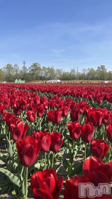 ����������ʥå��������륺�С����饪���ϥ��ܡ���bar���ͻ���(���饪���ϥ��ܡ���С��ӥ��󥷥ޥ�) ��������4��28���̥�֥�����4��28�� 18��12ʬ�Υ֥�����