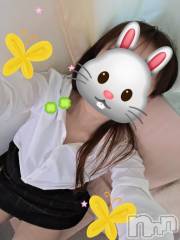 新潟デリヘルGRACE　新潟(グレース　ニイガタ) 【新人】乙川（おとかわ）(35)の3月20日写メブログ「連休初日っ🍀」