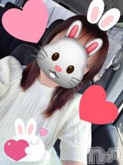 新潟デリヘルGRACE　新潟(グレース　ニイガタ) 【新人】乙川（おとかわ）(35)の3月29日写メブログ「日曜日🎶」