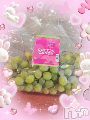 新潟デリヘル GRACE　新潟(グレース　ニイガタ) 【新人】乙川（おとかわ）(35)の4月8日写メブログ「うぅ(´ﾉω；`)」