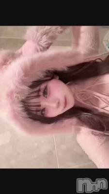 🧸🎀💕