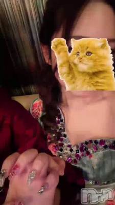 �ꤢ��Ǥ���