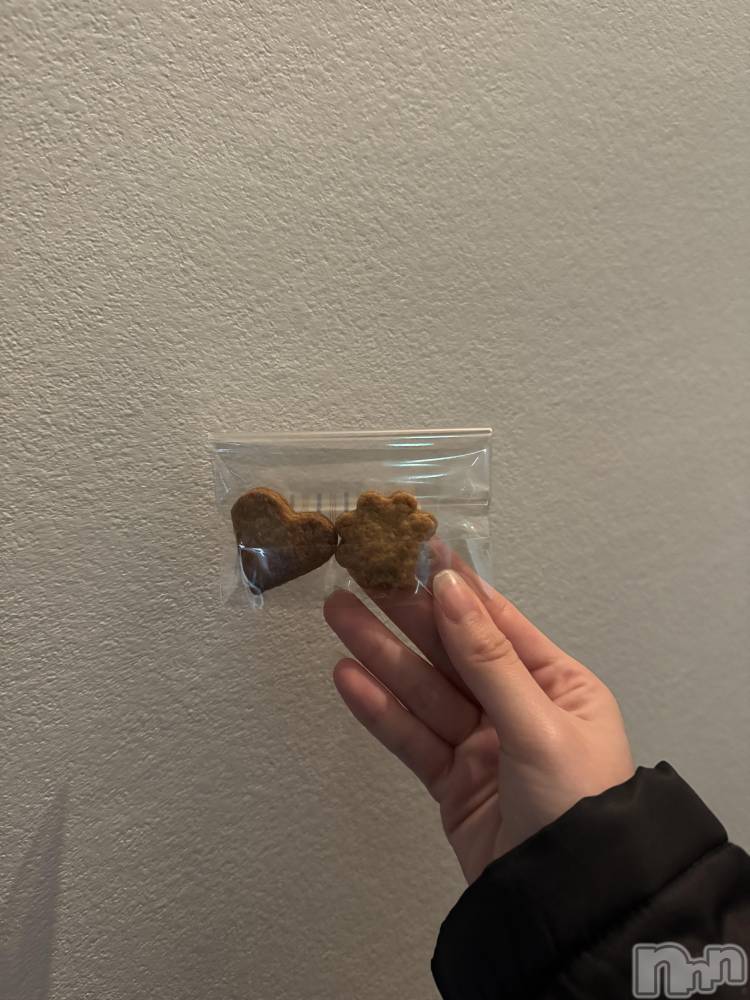 ��Į���ʥå��������륺�С�concept bar Citron(���󥻥ץȥС����ȥ���) �Ҥʤ�2��28���̥�֥����֤椢����󤫤�Х�󥿥��󡪡�🍪��