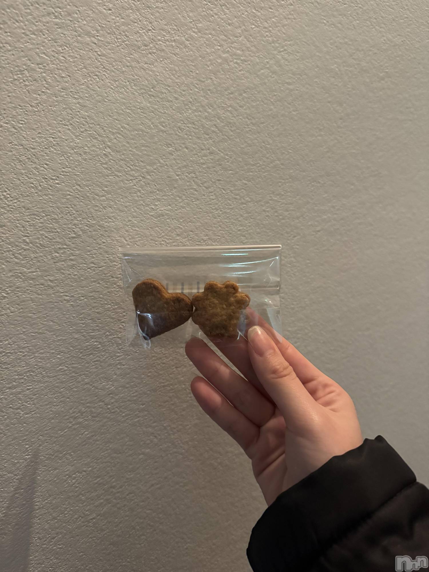 ��Į���ʥå��������륺�С�concept bar Citron(���󥻥ץȥС����ȥ���) ��2026ǯ2��28���̥�֥����֤椢����󤫤�Х�󥿥��󡪡�🍪��