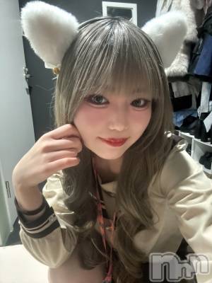 ��Į���ʥå��������륺�С�concept bar Citron(���󥻥ץȥС����ȥ���) �Ҥ�(20)��2��10���̥�֥����֥饹��20ʬ�ǡ�������