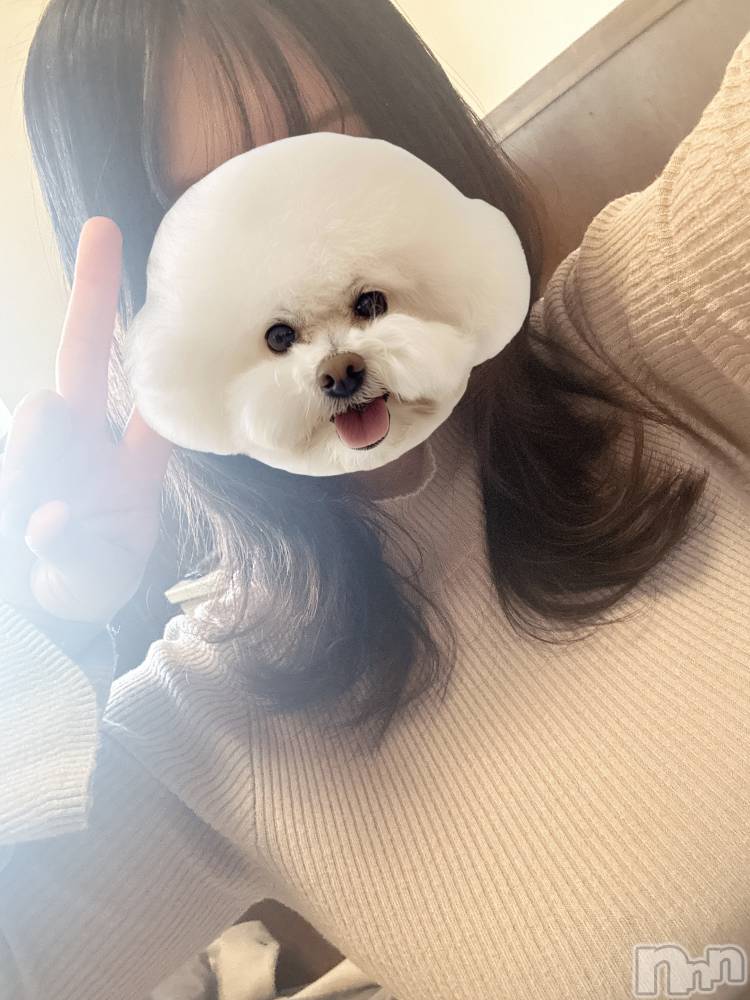 長野デリヘルStory ～人妻物語～(ストーリー) 新人☆なぎさ(32)の2月10日写メブログ「はじめまして」