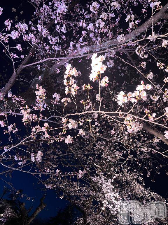 上越デリヘルHONEY(ハニー)かよ(♪)(25)の2026年4月10日写メブログ「お知らせ📢」