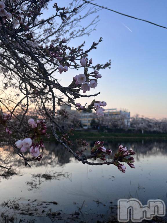 上越デリヘルHONEY(ハニー)かよ(♪)(25)の2026年4月16日写メブログ「ありがとう🥺❣️」