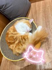 上越デリヘルHONEY(ハニー) かよ(♪)(25)の3月6日写メブログ「春みたい🌸」