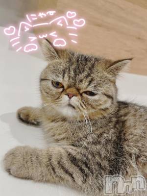 上越デリヘル HONEY(ハニー) かよ(♪)(25)の2月11日写メブログ「昨日もありがとうございました🎀」