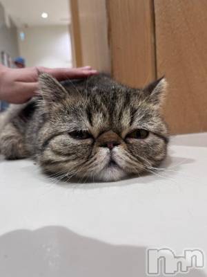 上越デリヘル HONEY(ハニー) かよ(♪)(25)の4月16日写メブログ「急遽🙇🏻‍♀️🤍」