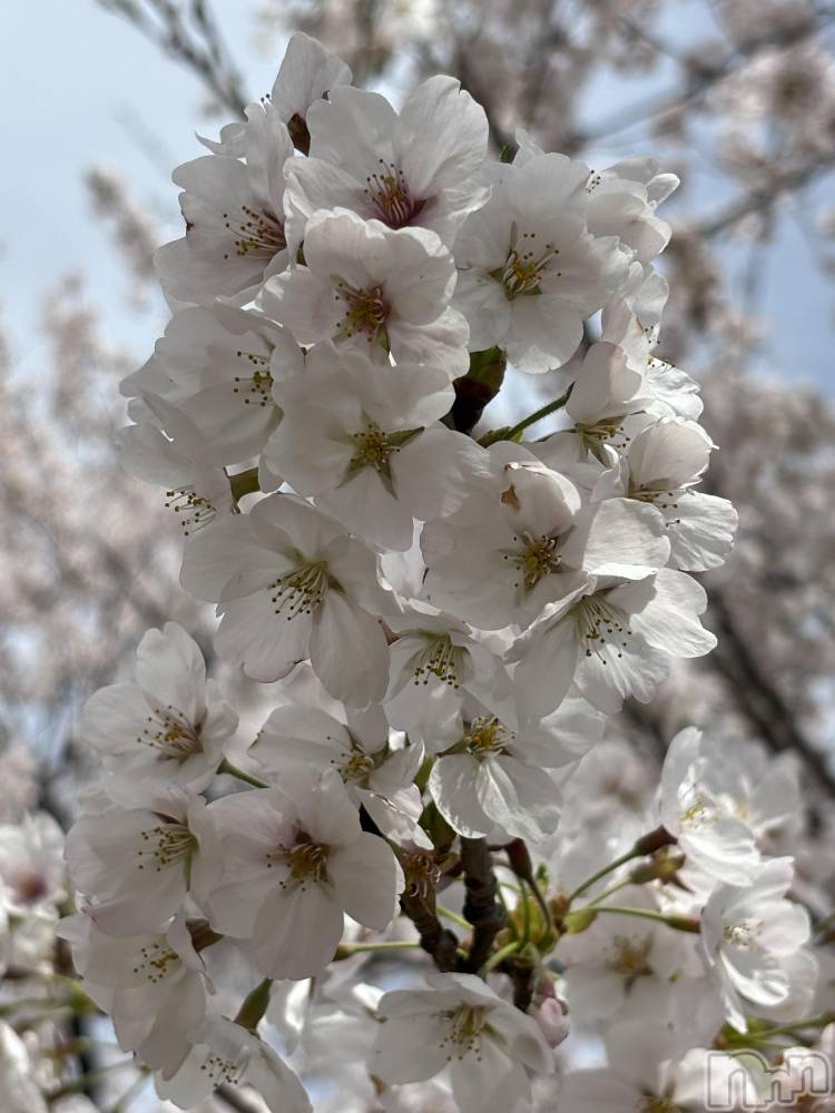 ��Į���ʥå��������륺�С�������&���饪��BAR  L  STYLE(�С����륹������) �ᤦ��4��6���̥�֥����֤�����❣️��