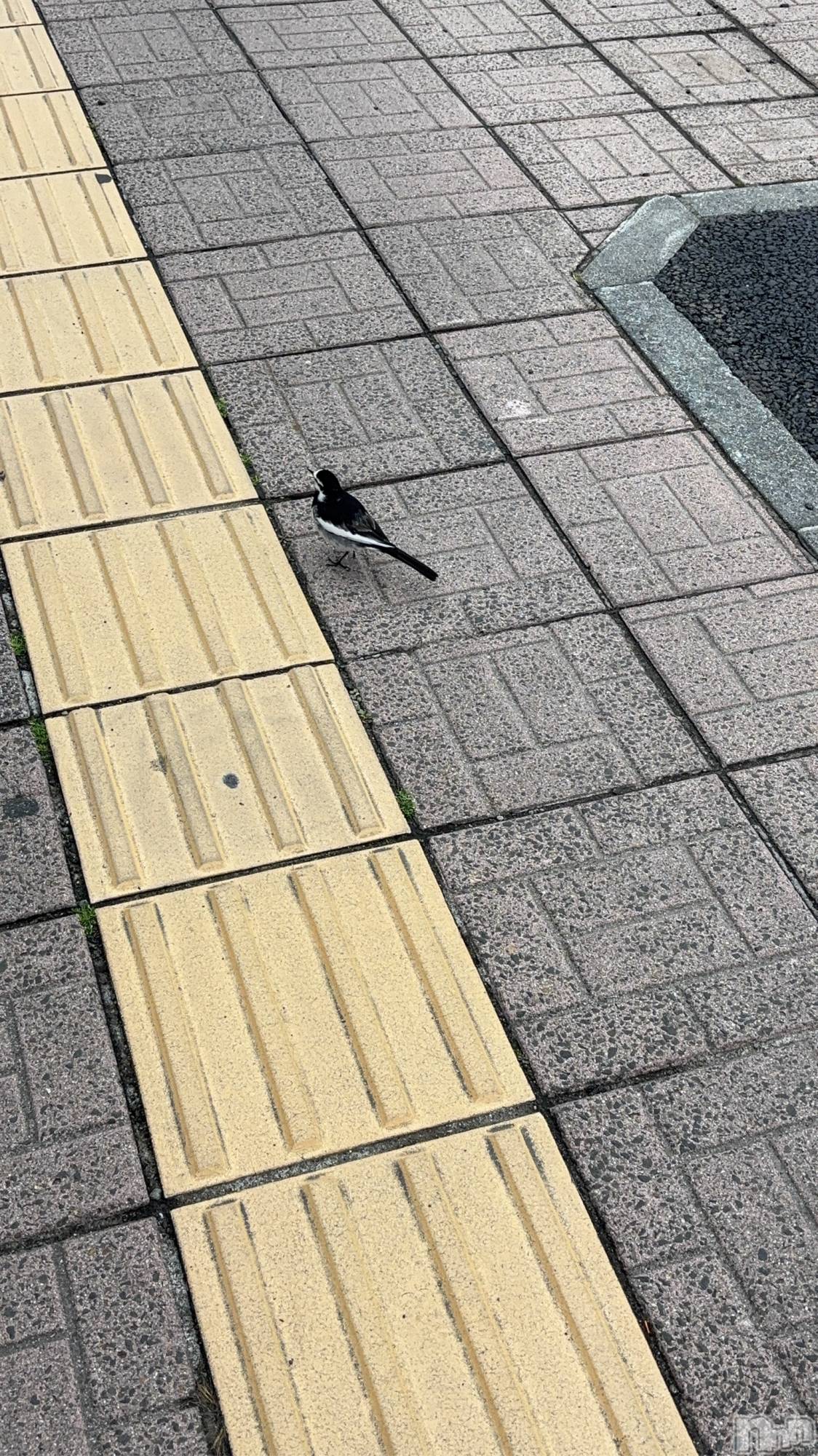 ��Į���ʥå��������륺�С�������&���饪��BAR  L  STYLE(�С����륹������) ��2026ǯ4��1���̥�֥����֥�ۡ�����