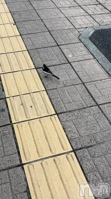 ��Į���ʥå��������륺�С�������&���饪��BAR  L  STYLE(�С����륹������) meu��4��1���̥�֥����֥�ۡ�����