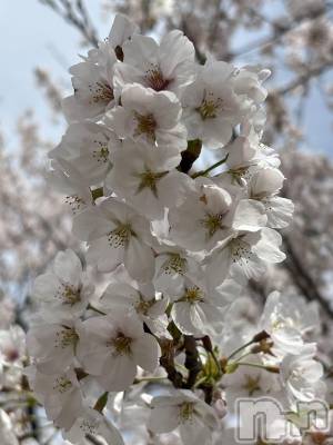 ��Į���ʥå��������륺�С�������&���饪��BAR  L  STYLE(�С����륹������) meu��4��6���̥�֥����֤�����❣️��