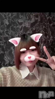 23����������