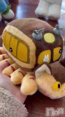 ���Ϥ褩‼️