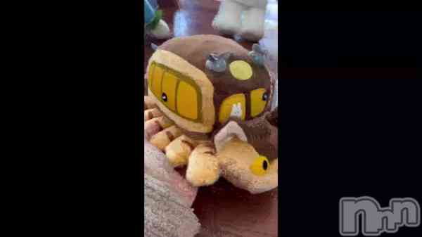 �֤��Ϥ褩‼️��