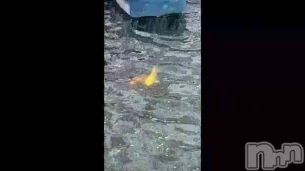 �ֵ�‼️��