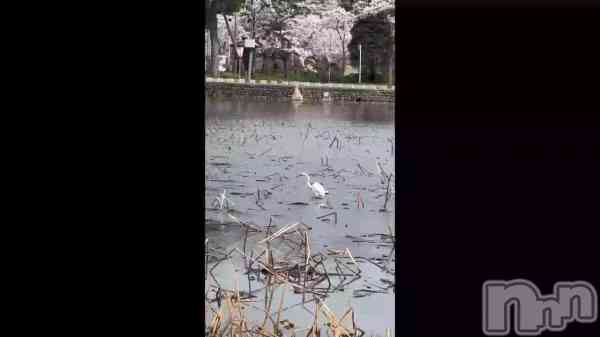 ��Ļ‼️��