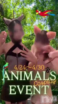 ��­�����‼️