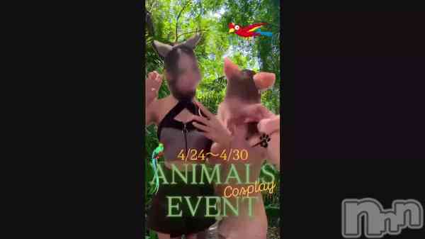 �ְ�­�����‼️��