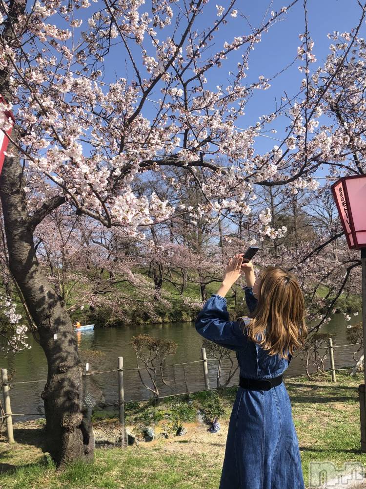 新潟ギャラ飲み今すぐ乾杯【ギャラ飲み】新潟コンパ(イマスグカンパイギャラノミニイガタコンパ) ゆあん(22)の4月2日写メブログ「🌸🌸🌸」