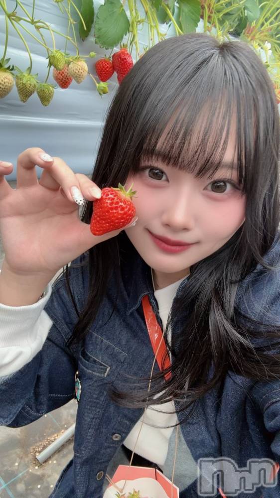 新潟ギャラ飲み今すぐ乾杯【ギャラ飲み】新潟コンパ(イマスグカンパイギャラノミニイガタコンパ) ゆあん(22)の4月5日写メブログ「🍓」