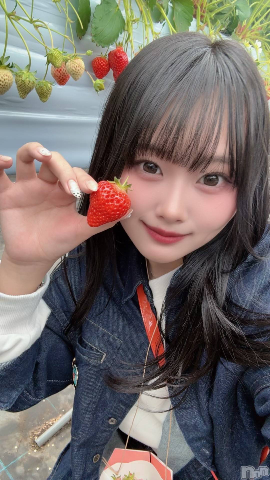 新潟ギャラ飲み今すぐ乾杯【ギャラ飲み】新潟コンパ(イマスグカンパイギャラノミニイガタコンパ)ゆあん(22)の2026年4月5日写メブログ「🍓」