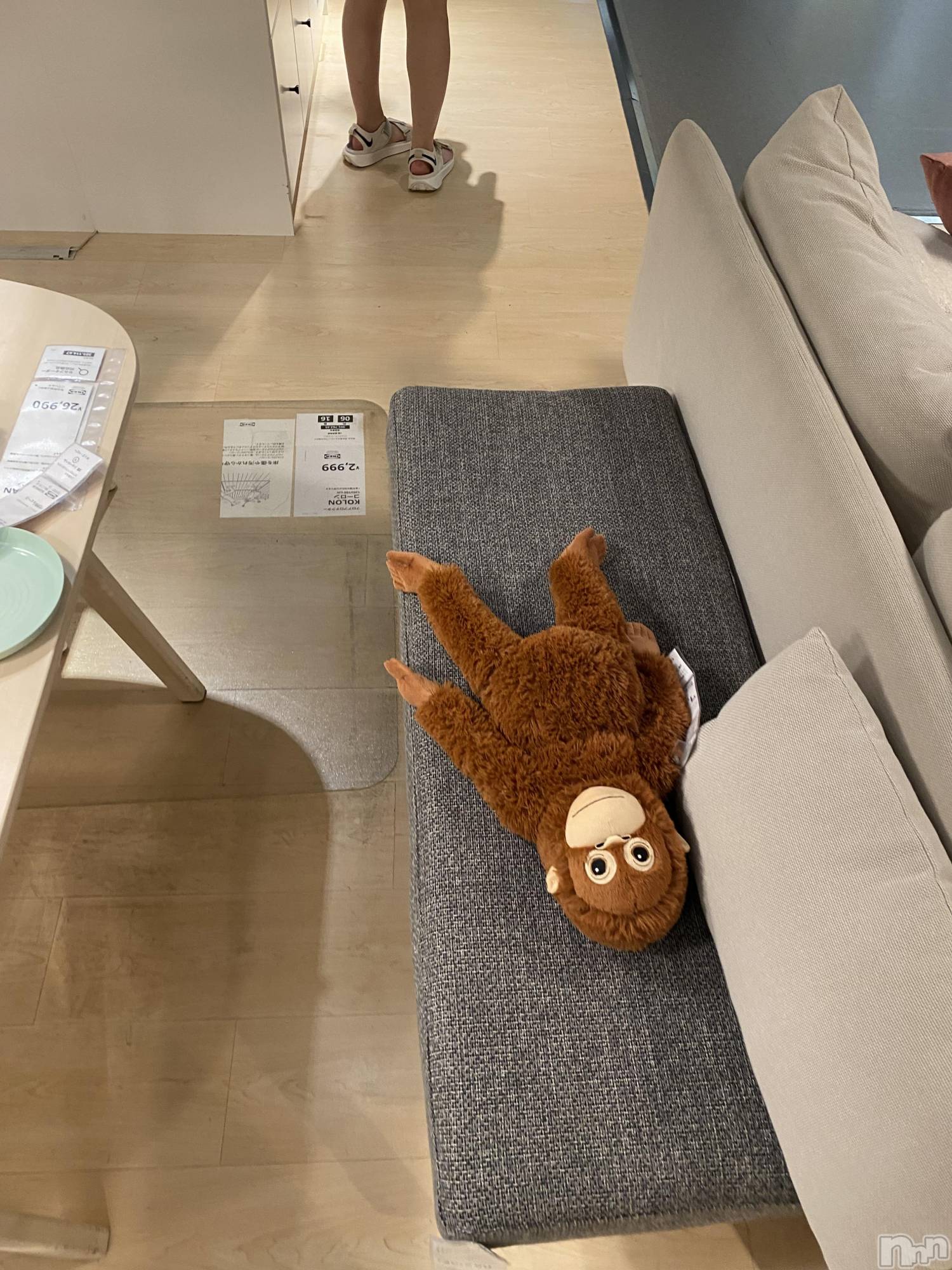 ���ץ���Х��顦�����CLUB BOSS(����� �ܥ�) ��2026ǯ2��12���̥�֥����֤����IKEA�Υ���ѥ󥸡���