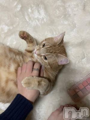 ���ץ���Х��顦�����CLUB BOSS(����� �ܥ�) �ߤ�����2��18���̥�֥�����♡( > ·̫ <⸝⸝ᐢ )��