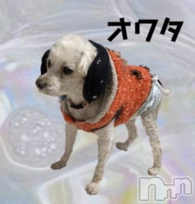 ���ץ���Х��顦�����CLUB BOSS(����� �ܥ�) �ߤ�����2��19���̥�֥����֥��勵��