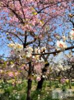 ��Į����Х��顦�����V-niigata-(�֥��˥�����) ��(21)��3��3���̥�֥�����🎎🌸��