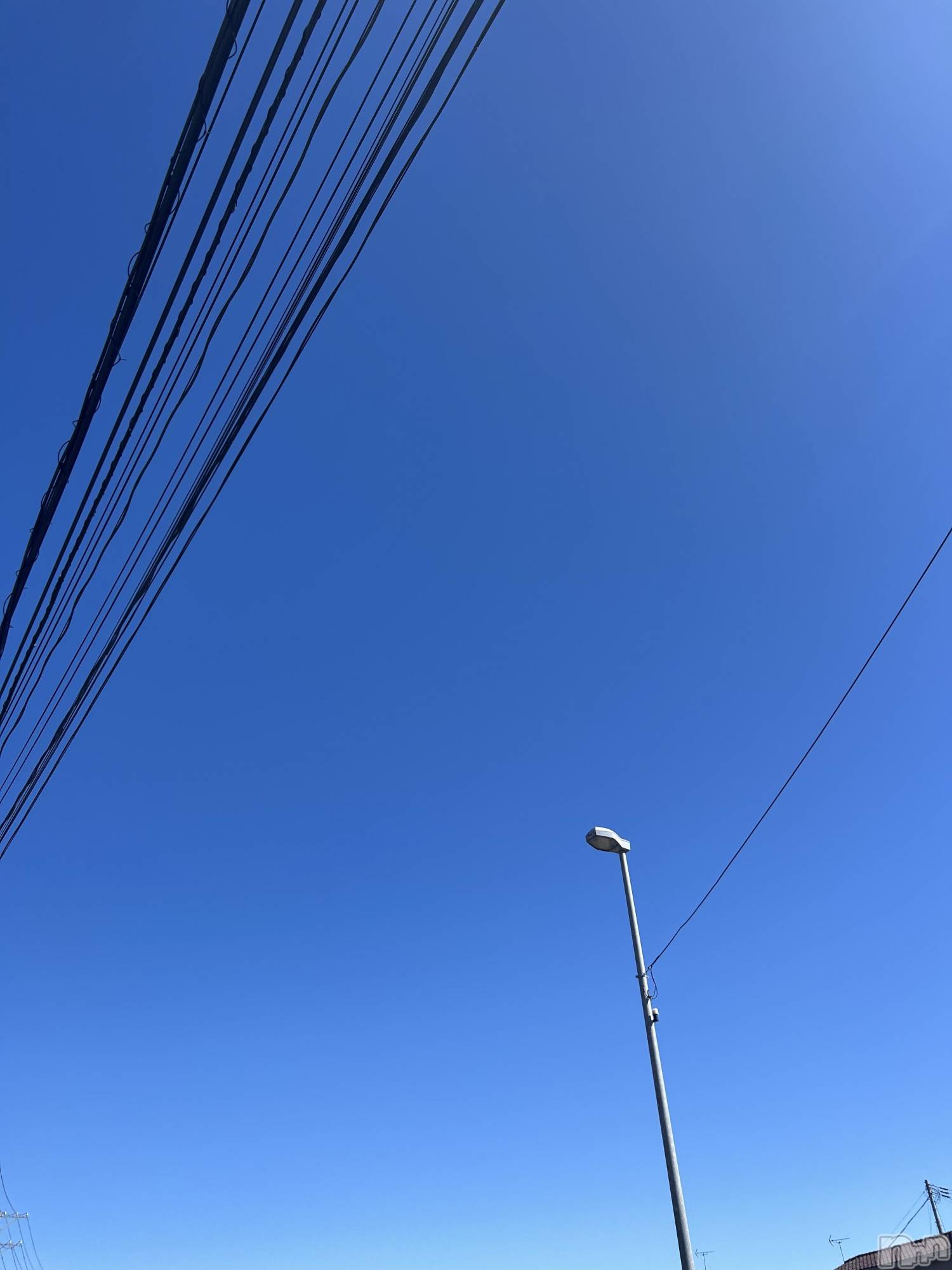 ��Į����Х��顦�����V-niigata-(�֥��˥�����) ��2026ǯ2��26���̥�֥�����🪐🤍��