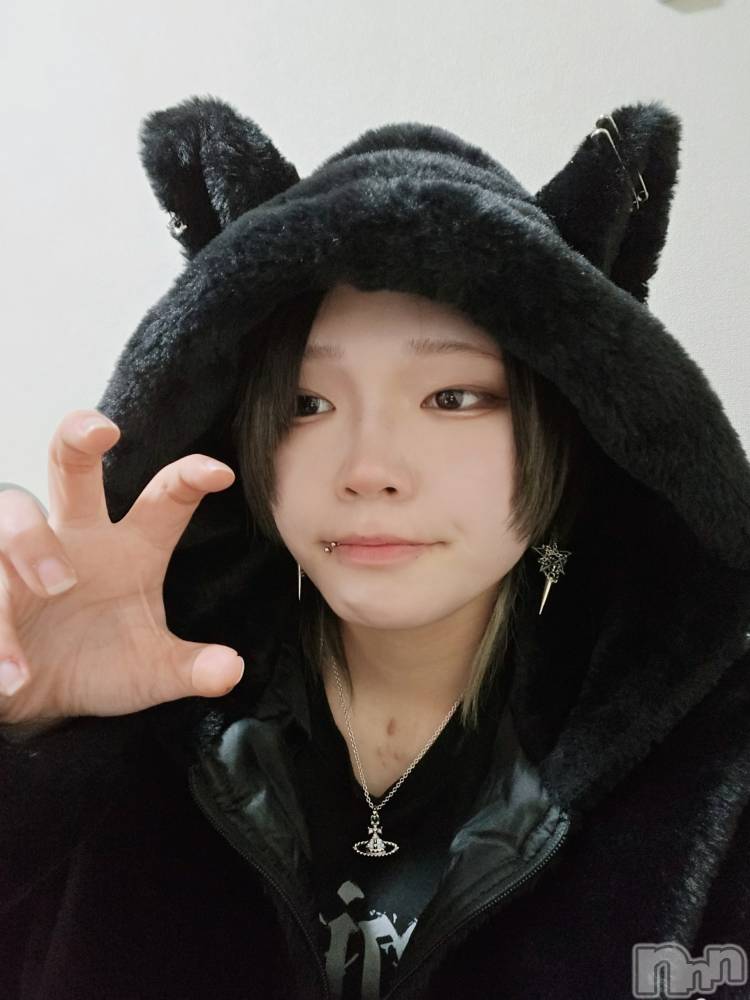 ����������ʥå��������륺�С�Girls Bar Philia(�����륺�С��ե��ꥢ) �꡼����3��13���̥�֥����֤ߤ硼��