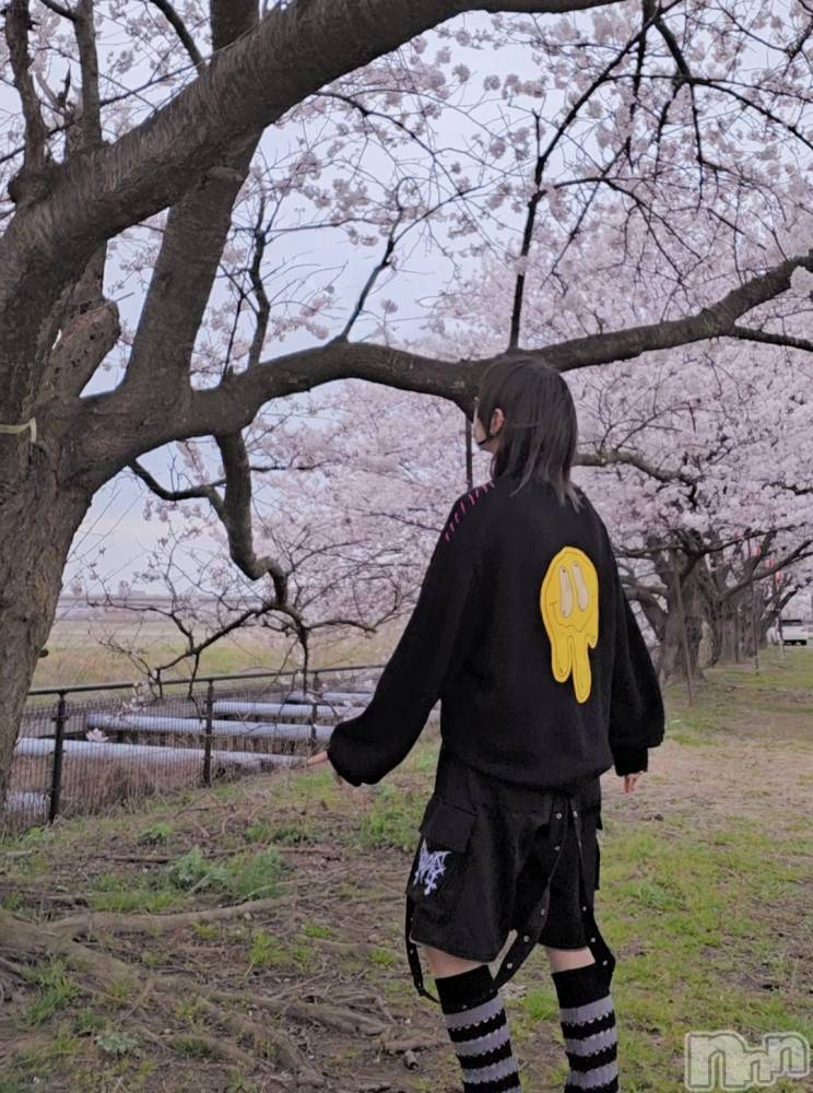 ����������ʥå��������륺�С�Girls Bar Philia(�����륺�С��ե��ꥢ) �꡼����4��6���̥�֥����֤������