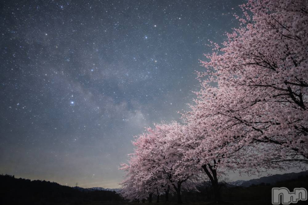 ����������ʥå��������륺�С�Girls Bar Philia(�����륺�С��ե��ꥢ) �꡼����4��13���̥�֥��������🌸��