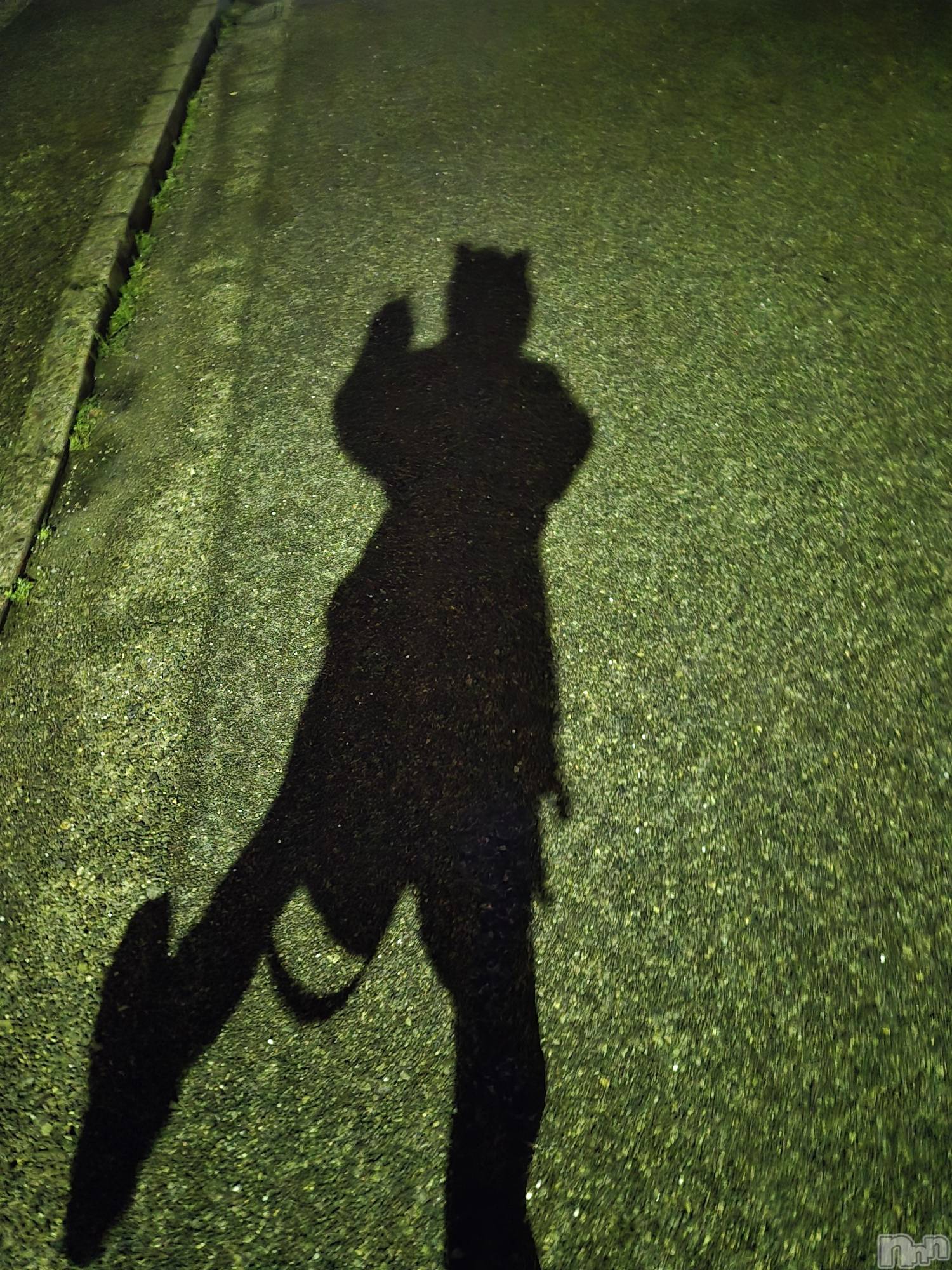 ����������ʥå��������륺�С�Girls Bar Philia(�����륺�С��ե��ꥢ) ��2026ǯ3��16���̥�֥����֤ߤ硼��