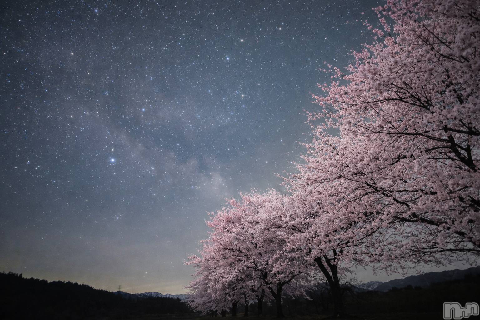 ����������ʥå��������륺�С�Girls Bar Philia(�����륺�С��ե��ꥢ) ��2026ǯ4��13���̥�֥��������🌸��