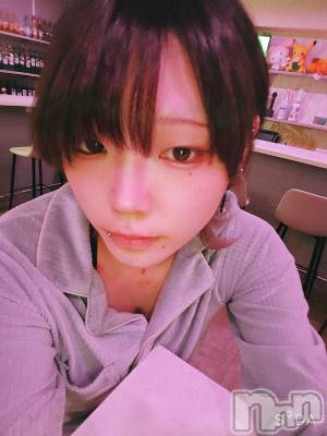 ����������ʥå��������륺�С�Girls Bar Philia(�����륺�С��ե��ꥢ) �꡼����2��11���̥�֥����ֽ���������