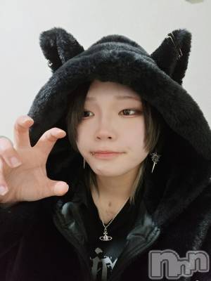 ����������ʥå��������륺�С�Girls Bar Philia(�����륺�С��ե��ꥢ) �꡼����3��13���̥�֥����֤ߤ硼��